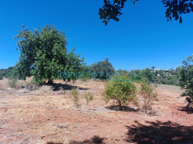 Terreno Misto para Venda em Almancil Foto 8