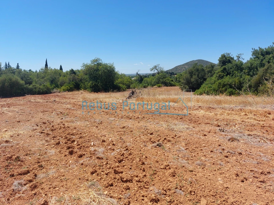 Terreno Misto para Venda em Almancil Foto 3