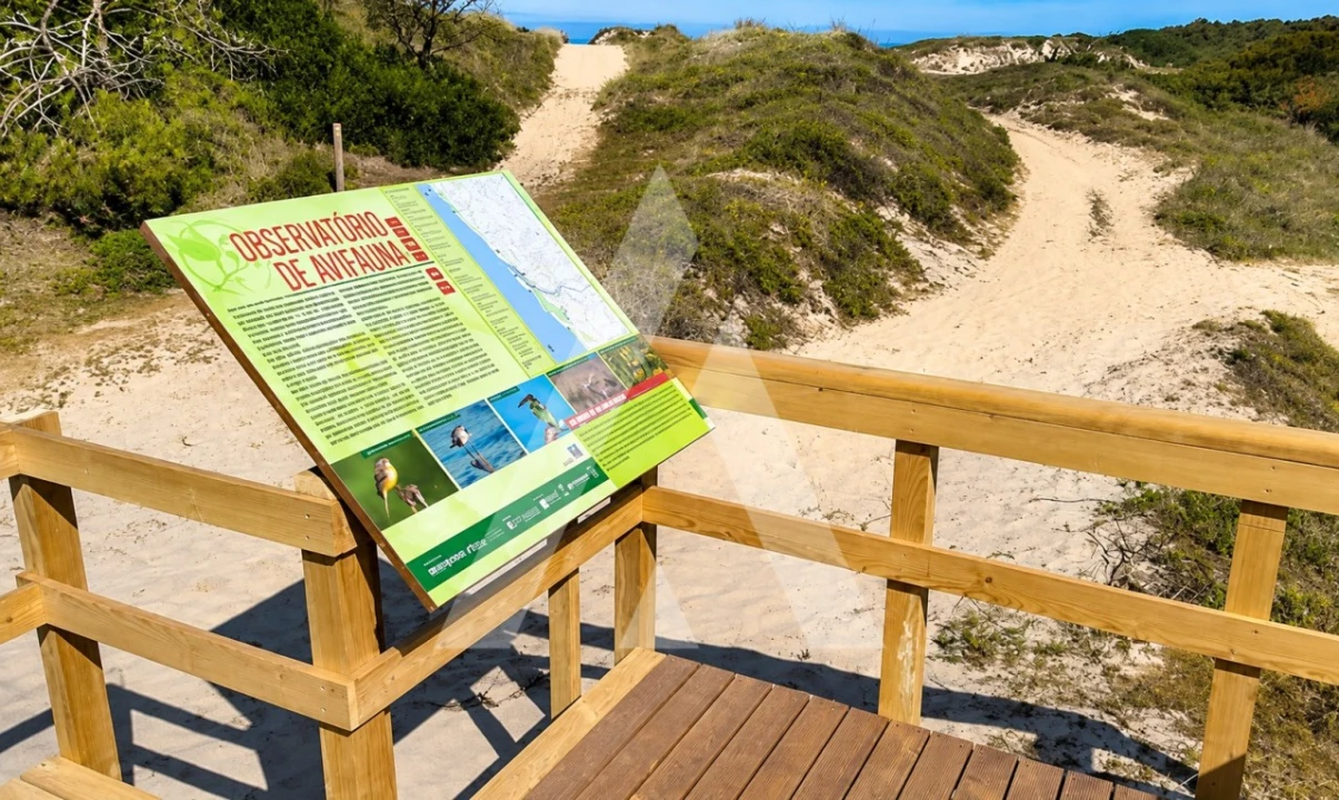 Moradia T3 para Venda em Antas Foto 7