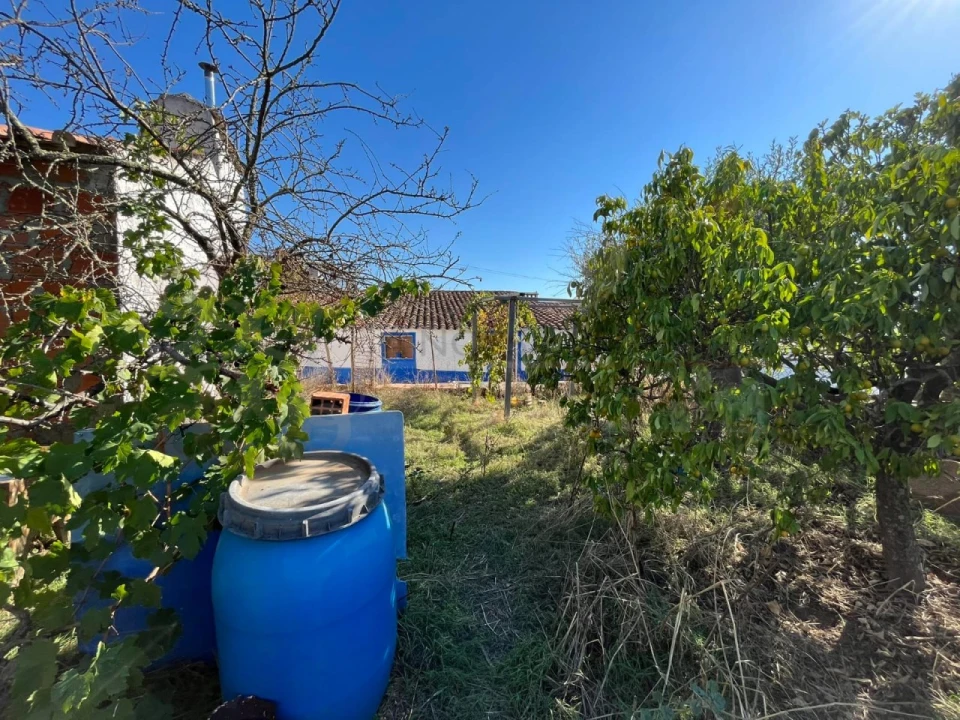 Quinta T3 para Venda em Redondo Foto 8