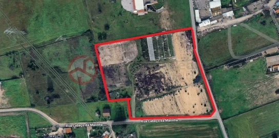 Terreno para Arrendamento em Samora Correia