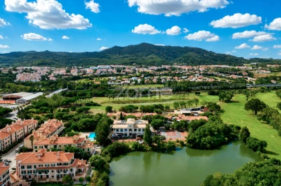 Negócio para Venda em Santa Maria e São Miguel, São Martinho, São Pedro Penaferrim
