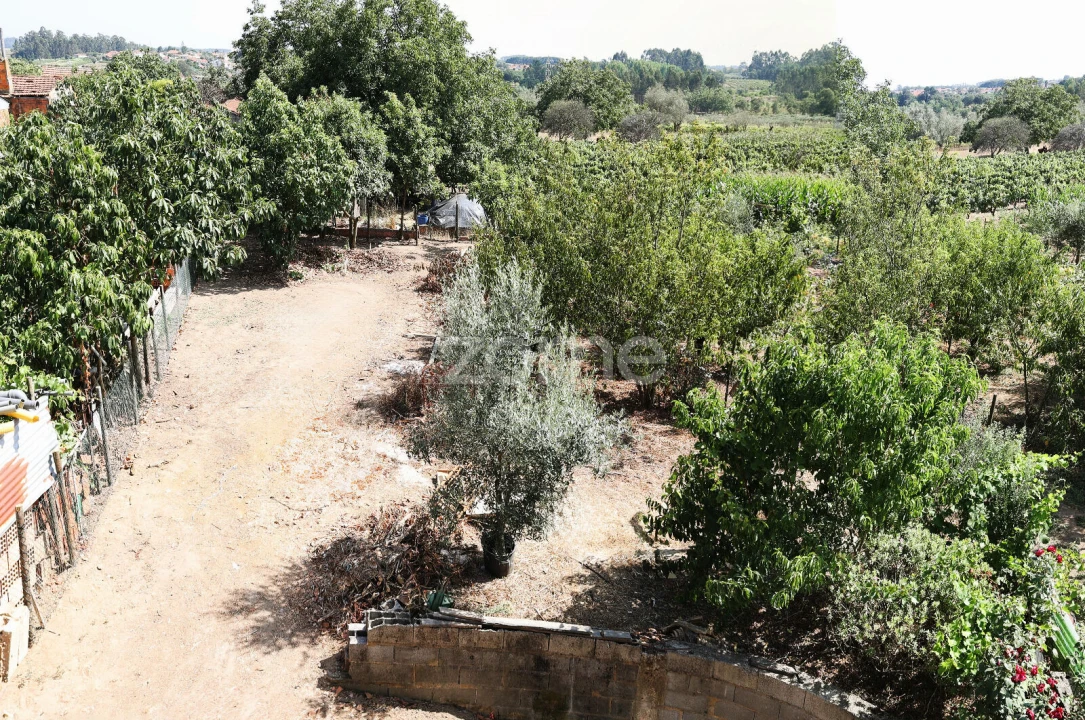 Moradia T3 para Venda em Amoreira da Gândara, Paredes do Bairro e Ancas Foto 49