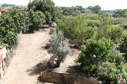 Moradia T3 para Venda em Amoreira da Gândara, Paredes do Bairro e Ancas