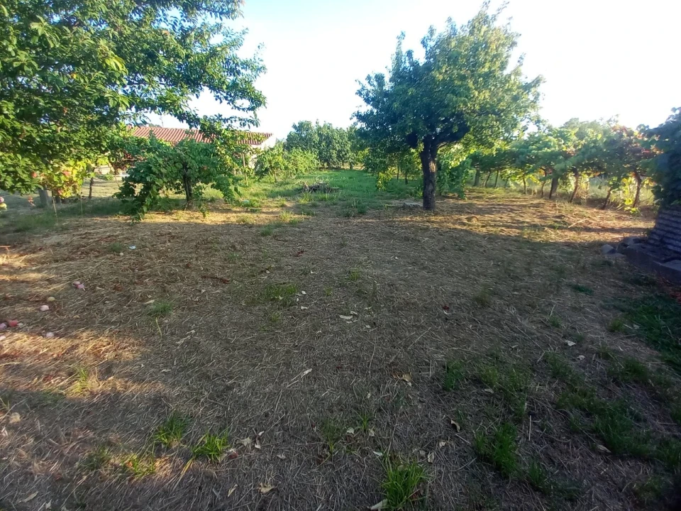 Moradia T4 para Venda em Mazedo e Cortes Foto 5