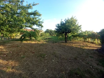 Moradia T4 para Venda em Mazedo e Cortes