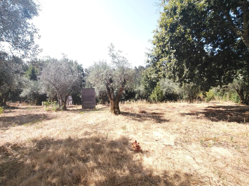 Moradia T3 para Venda em Maçãs de D. Maria Foto 27