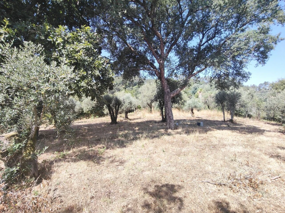 Moradia T3 para Venda em Maçãs de D. Maria Foto 26