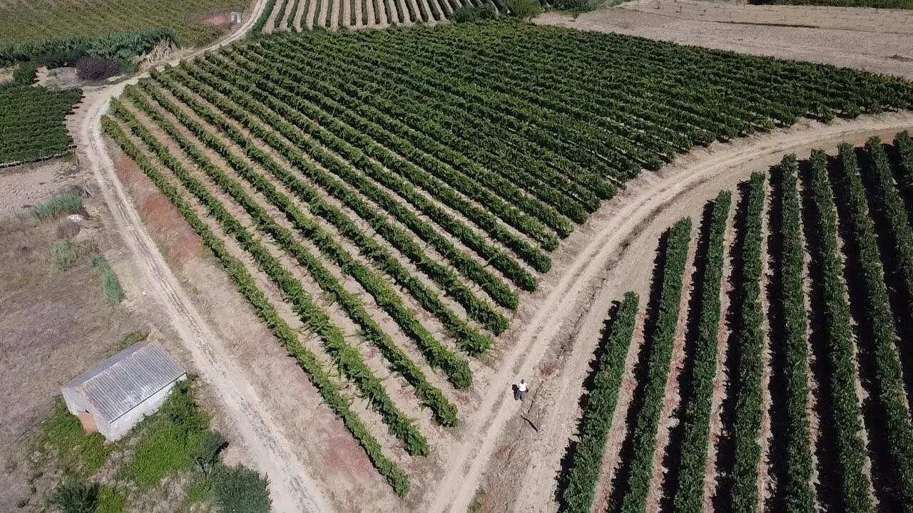 Terreno para Venda em Turcifal Foto 1