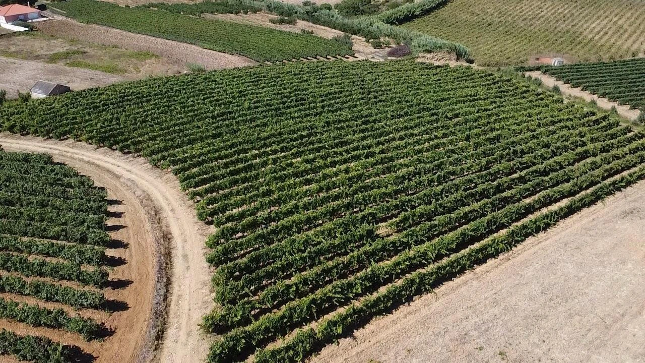 Terreno para Venda em Turcifal Foto 2