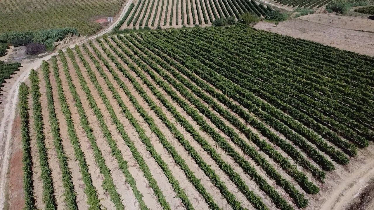 Terreno para Venda em Turcifal Foto 3