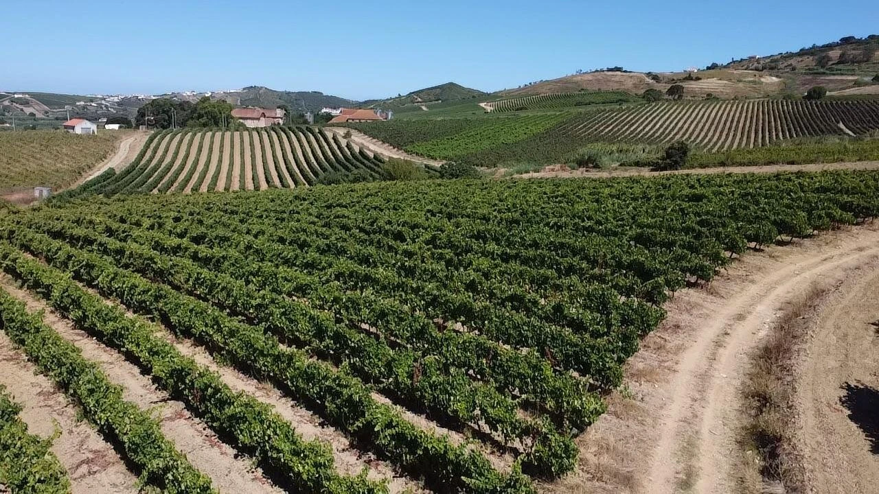 Terreno para Venda em Turcifal Foto 4