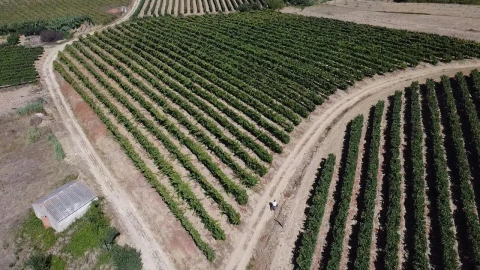 Terreno para Venda em Turcifal
