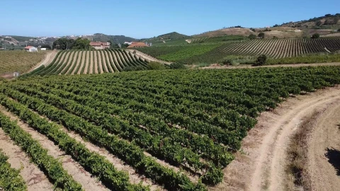 Terreno para Venda em Turcifal