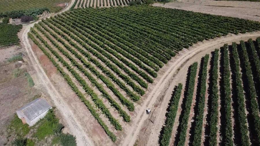 Terreno para Venda em Turcifal
