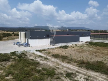 Armazém para Venda em Monsanto