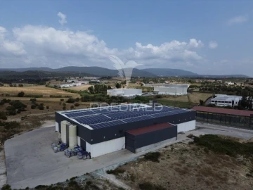 Armazém para Venda em Monsanto