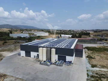 Armazém para Venda em Monsanto