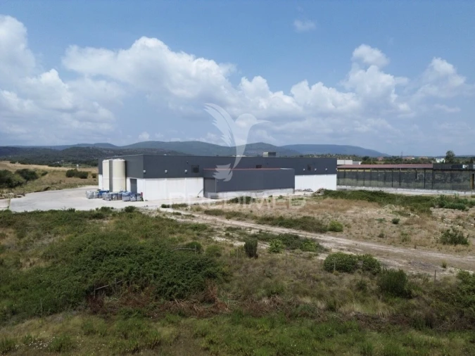 Armazém para Venda em Monsanto Foto 7