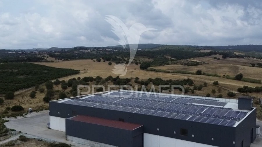 Armazém para Venda em Monsanto