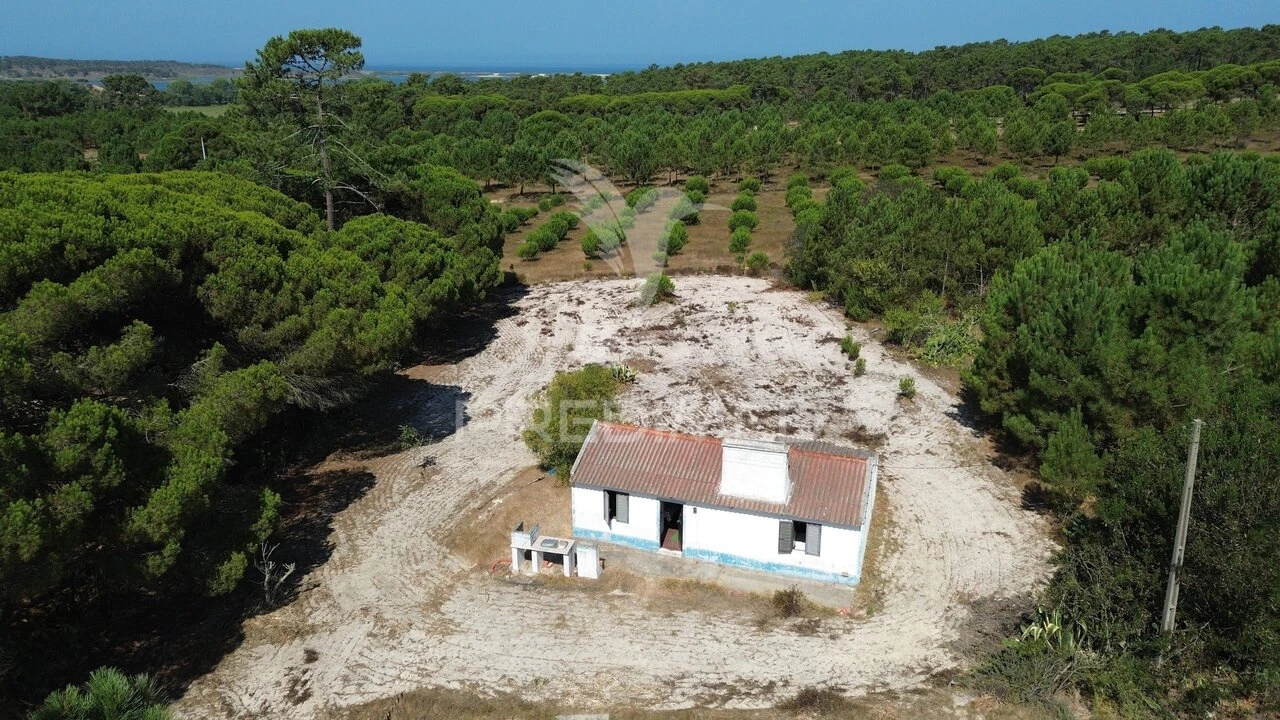 Moradia T2 para Venda em Alto do Seixalinho, Santo André e Verderena Foto 3