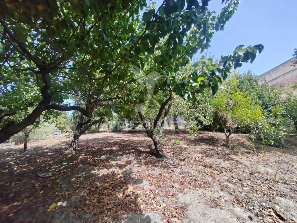 Moradia T3 para Venda em Santa Maria, São Pedro e Matacães Foto 9