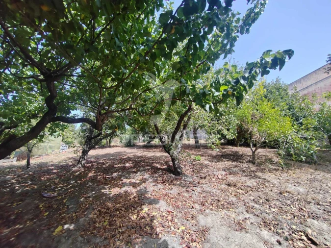 Moradia T3 para Venda em Santa Maria, São Pedro e Matacães Foto 9