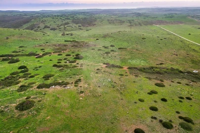 Terreno para Venda em Vila do Bispo e Raposeira