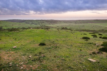 Terreno para Venda em Vila do Bispo e Raposeira