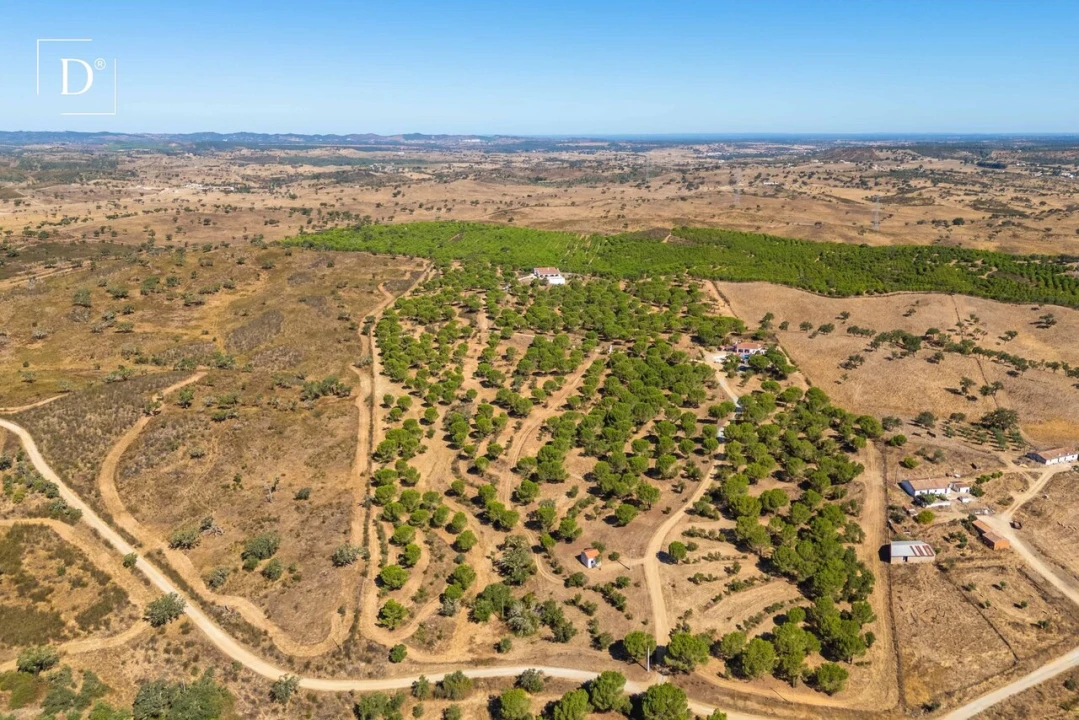 Moradia T4 para Venda em Ourique Foto 5