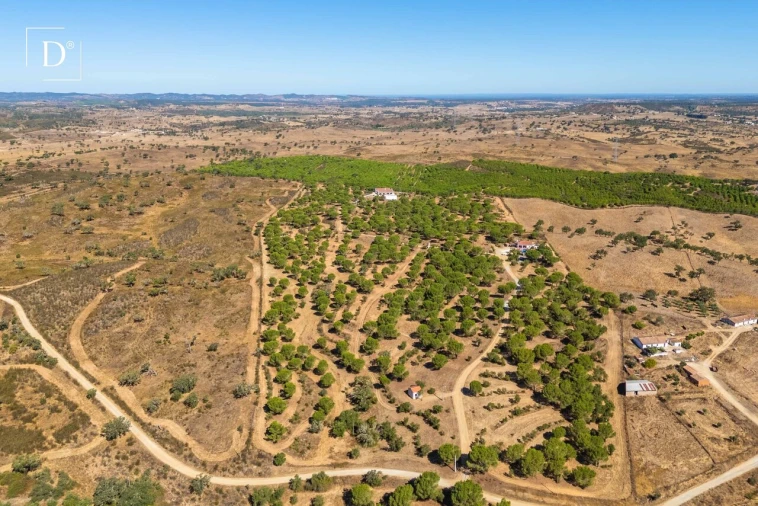 Moradia T4 para Venda em Ourique Foto 5