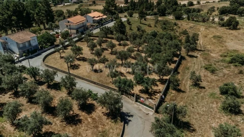 Terreno para Venda em Dominguizo