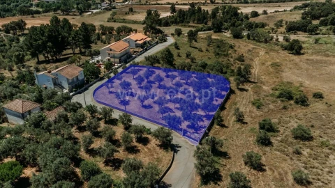 Terreno para Venda em Dominguizo