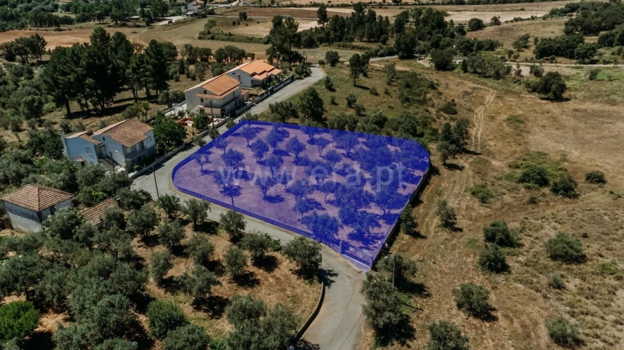 Terreno para Venda em Dominguizo