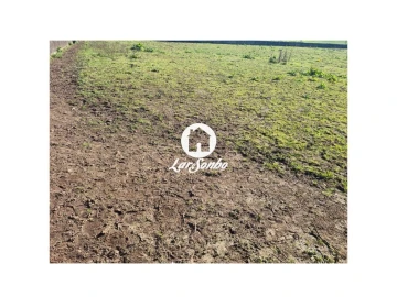 Terreno para Venda em Apúlia e Fão