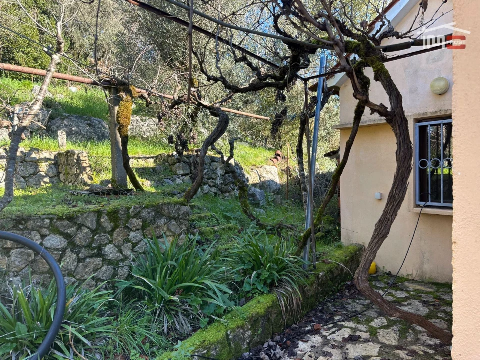 Moradia T1 para Arrendamento em Freixianda, Ribeira do Fárrio e Formigais Foto 14