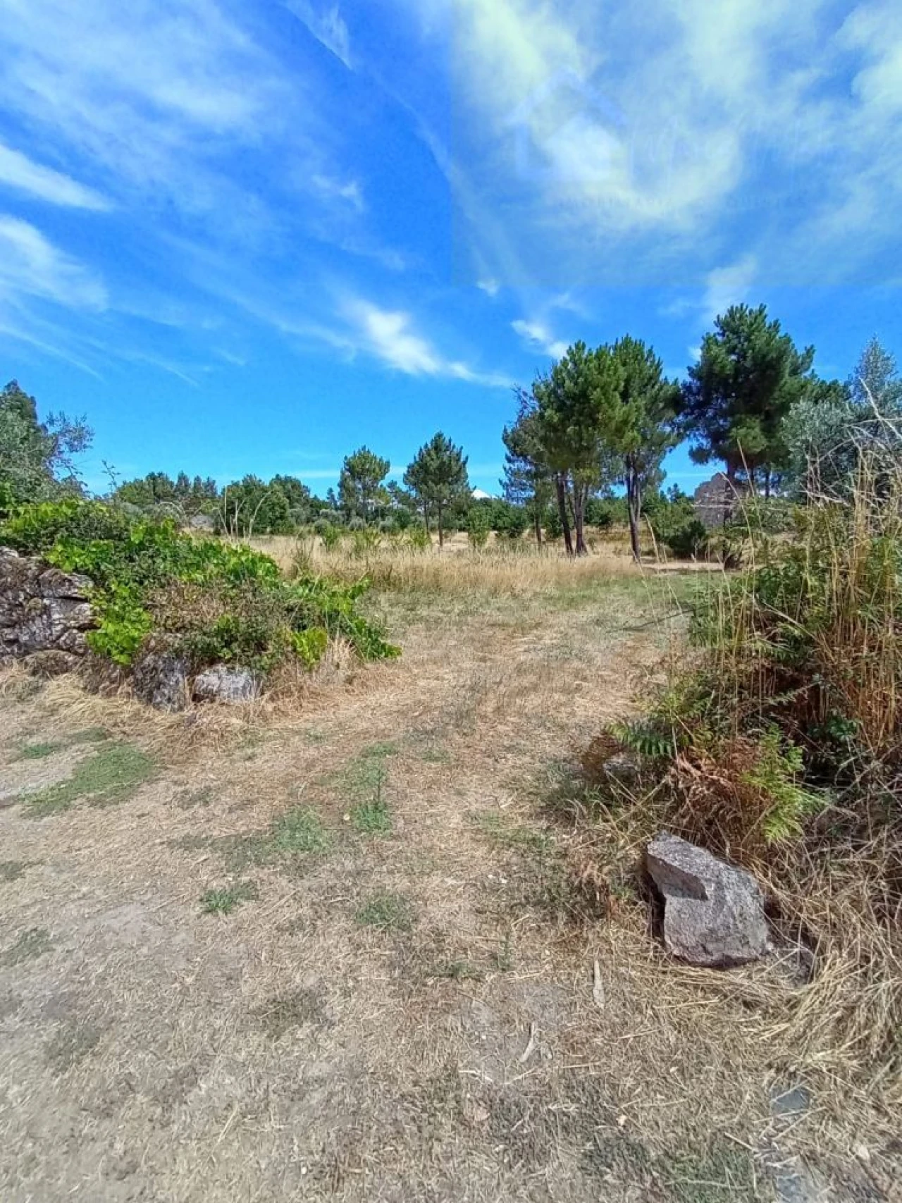 Moradia T2 para Venda em Cunha Baixa Foto 11