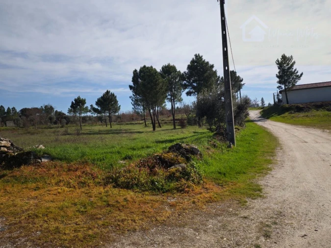 Moradia T2 para Venda em Cunha Baixa Foto 31