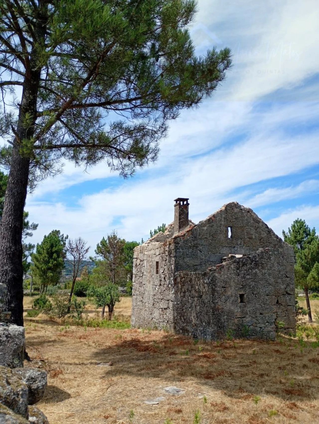 Moradia T2 para Venda em Cunha Baixa Foto 3
