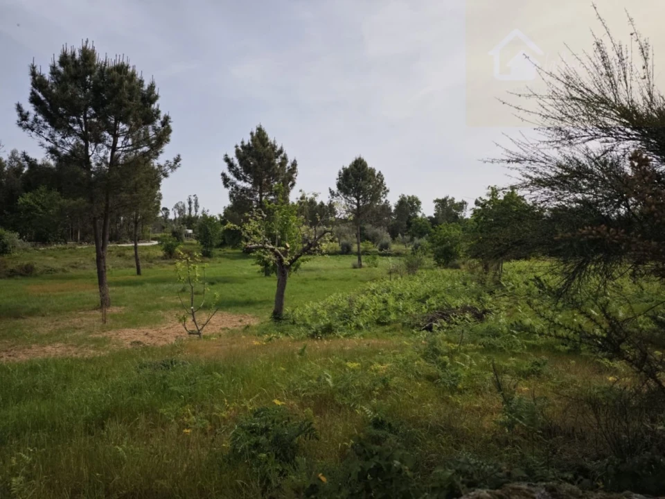 Moradia T2 para Venda em Cunha Baixa Foto 25