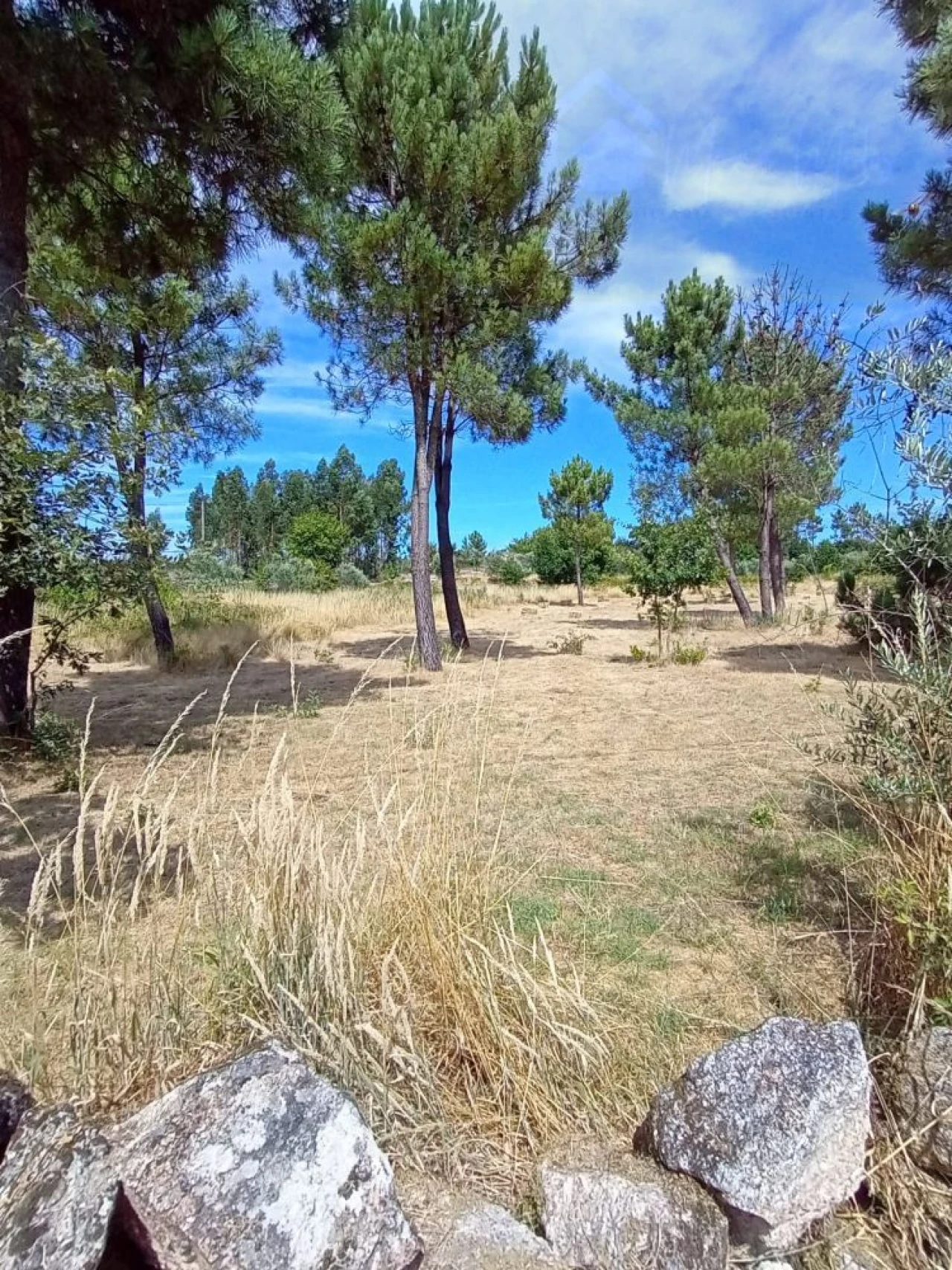 Moradia T2 para Venda em Cunha Baixa Foto 10