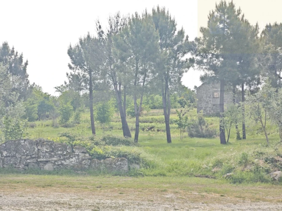 Moradia T2 para Venda em Cunha Baixa Foto 23