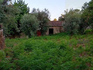 Moradia T3 para Venda em Santiago de Cassurrães e Póvoa de Cervães
