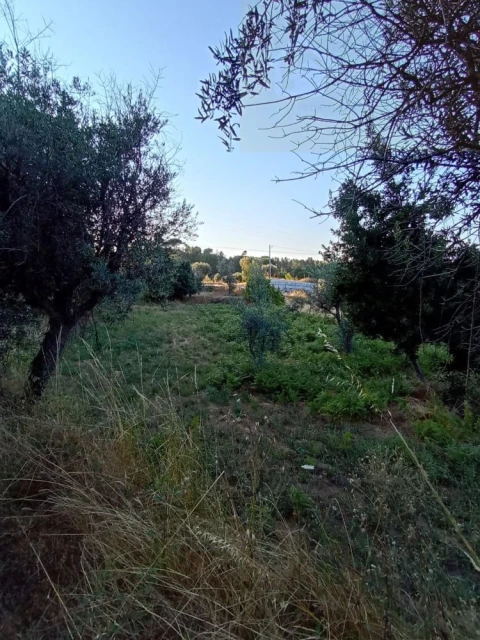 Moradia T3 para Venda em Santiago de Cassurrães e Póvoa de Cervães