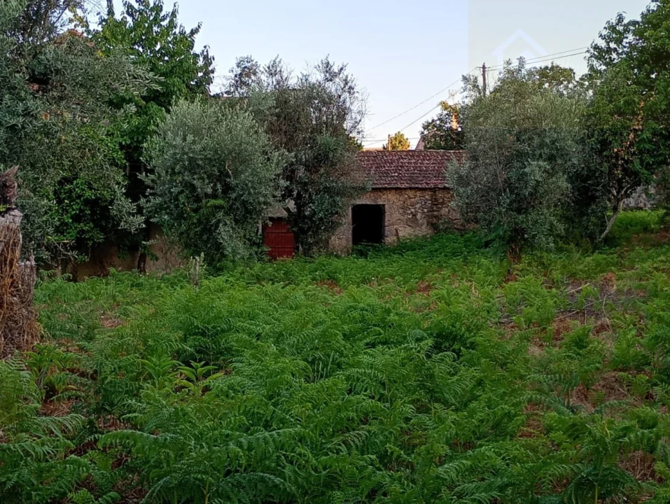 Moradia T3 para Venda em Santiago de Cassurrães e Póvoa de Cervães Foto 10