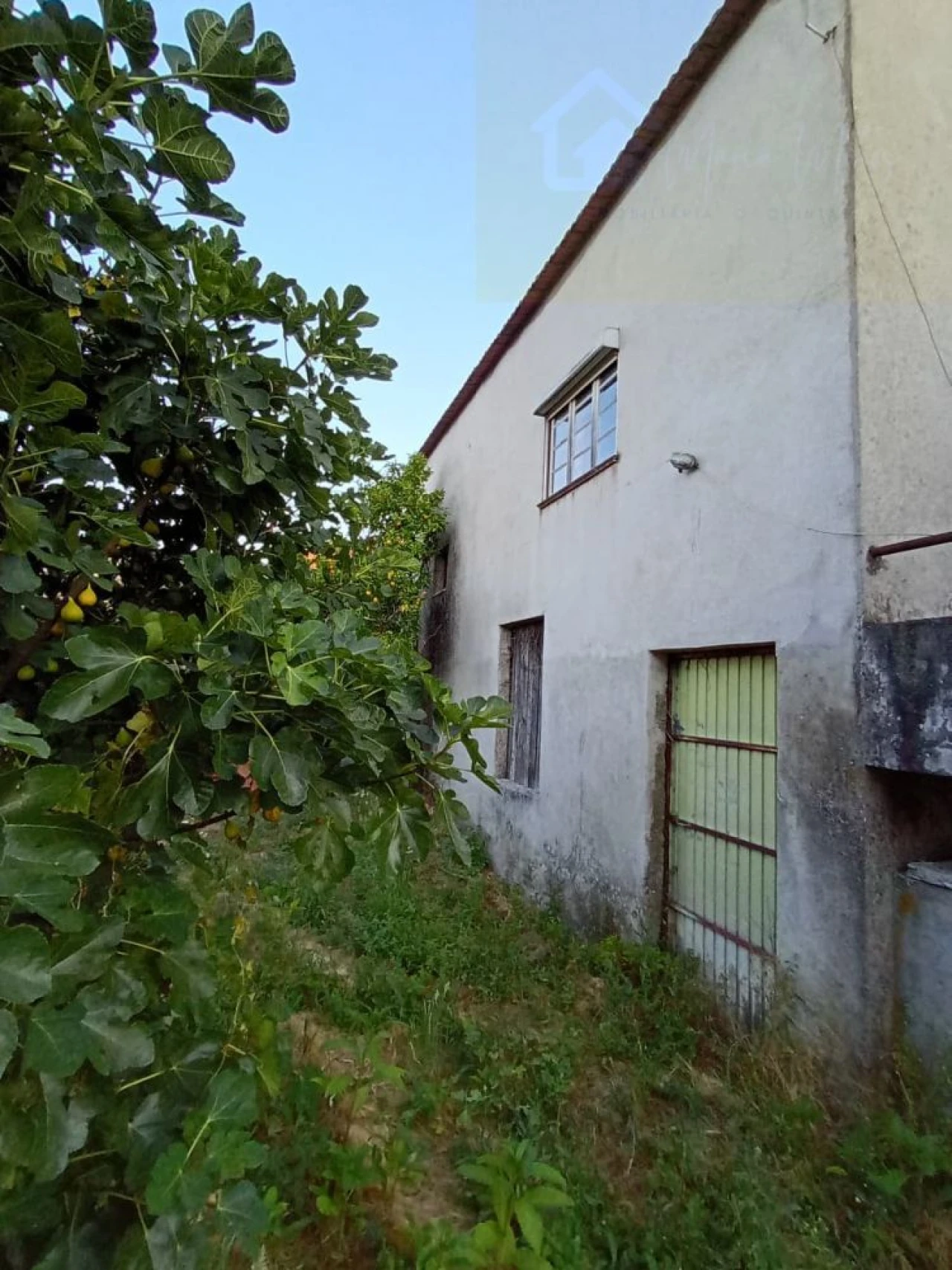 Moradia T3 para Venda em Santiago de Cassurrães e Póvoa de Cervães Foto 5