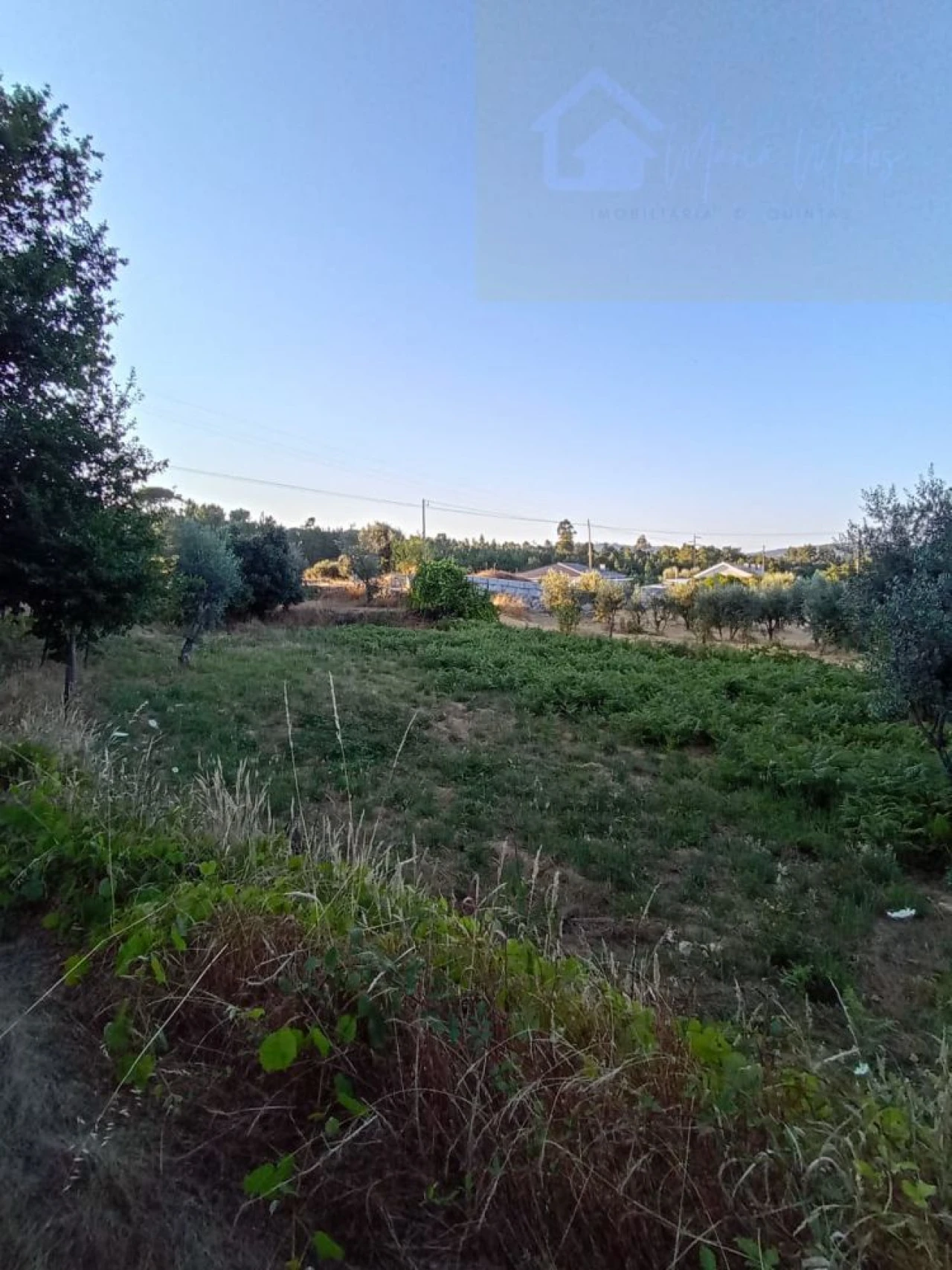 Moradia T3 para Venda em Santiago de Cassurrães e Póvoa de Cervães Foto 26