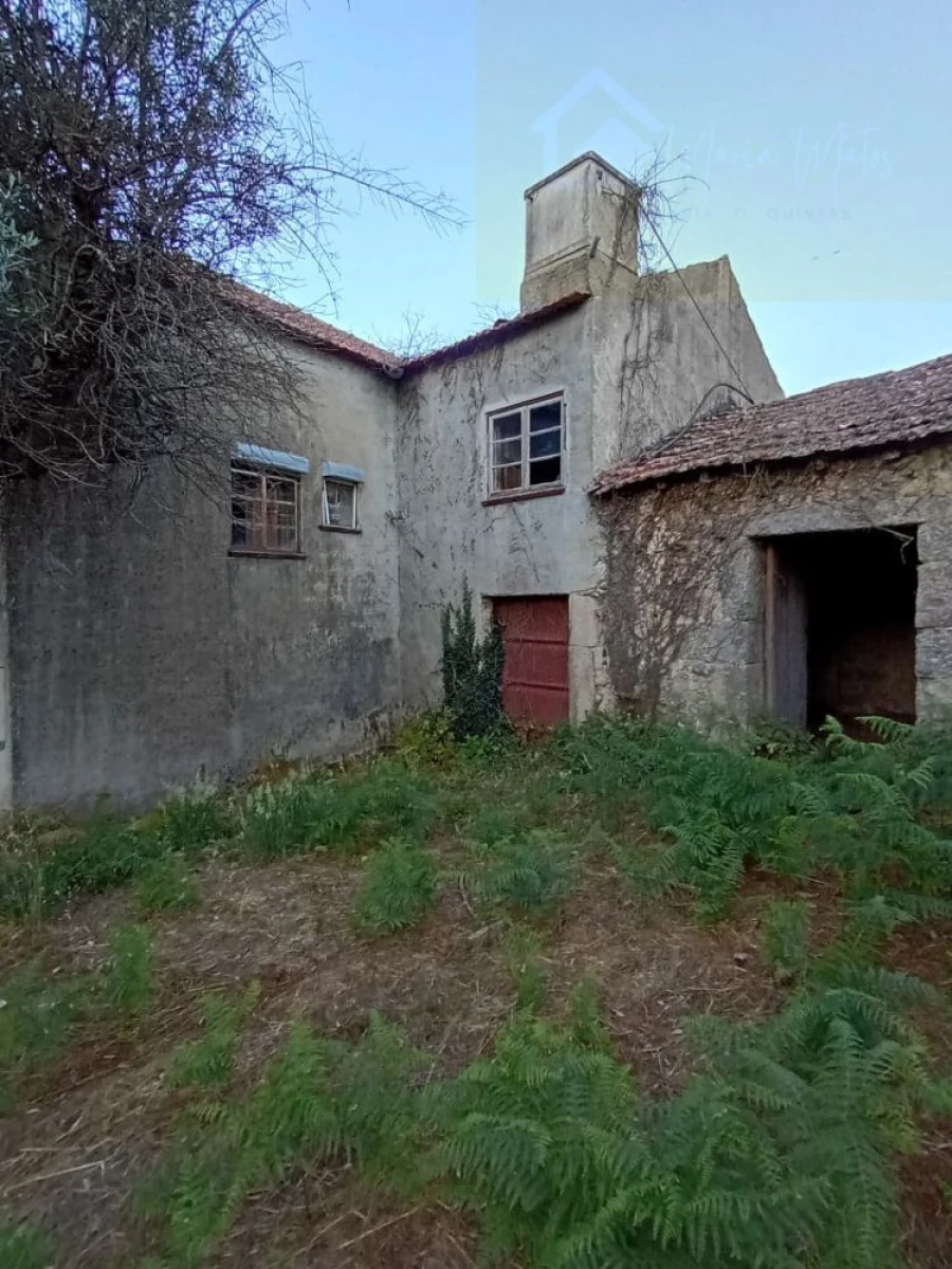 Moradia T3 para Venda em Santiago de Cassurrães e Póvoa de Cervães Foto 4