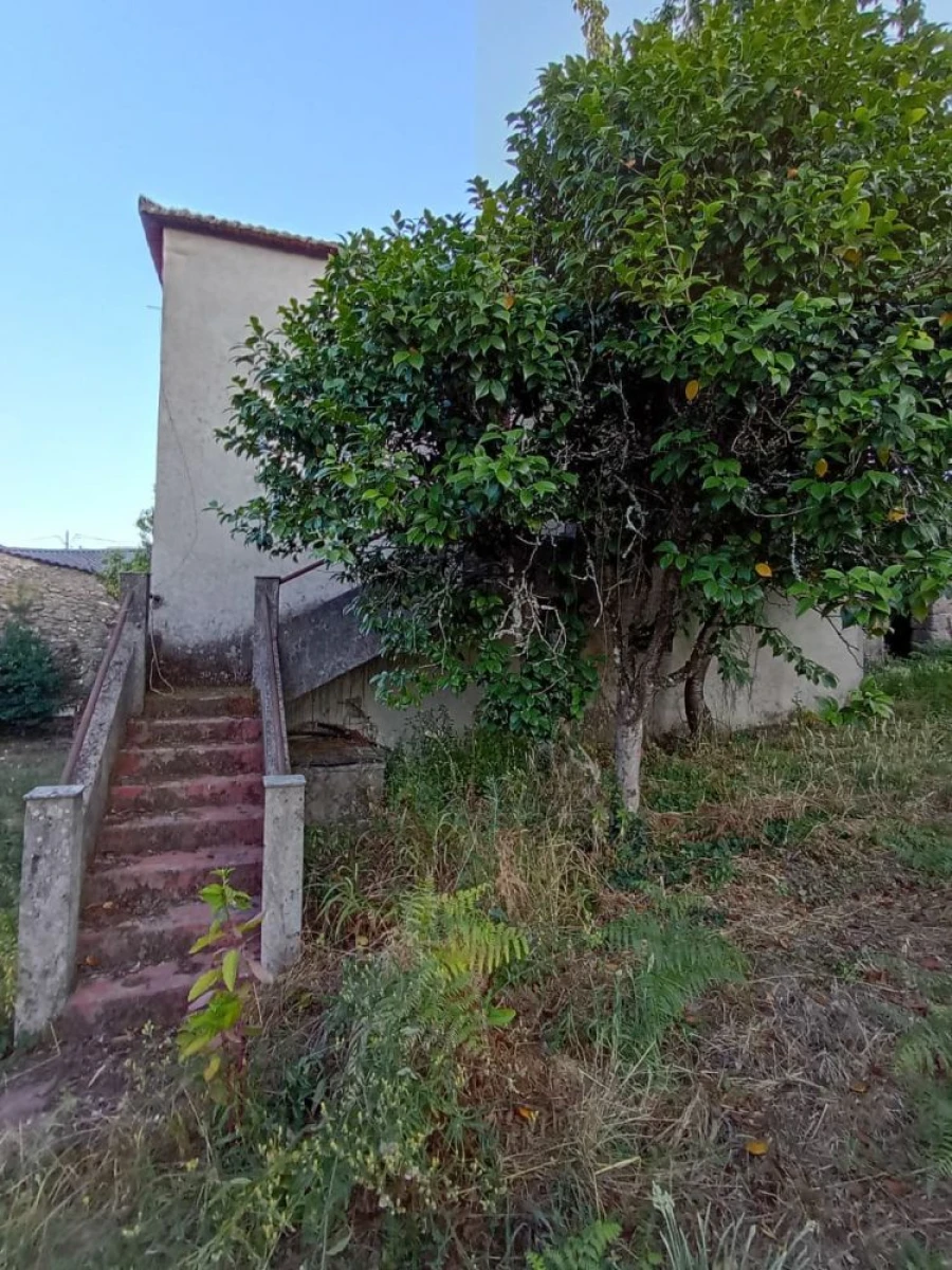 Moradia T3 para Venda em Santiago de Cassurrães e Póvoa de Cervães Foto 3