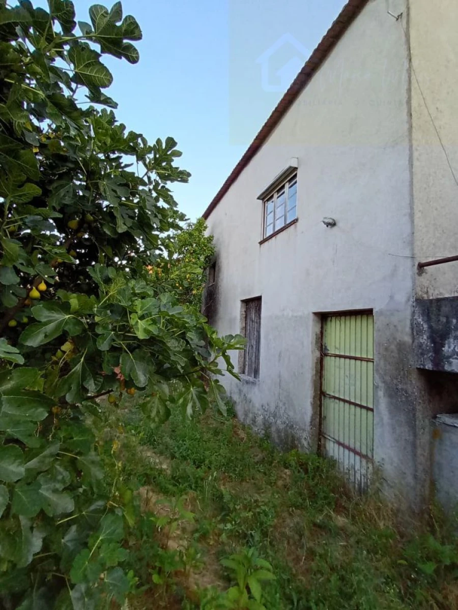 Moradia T3 para Venda em Santiago de Cassurrães e Póvoa de Cervães Foto 5